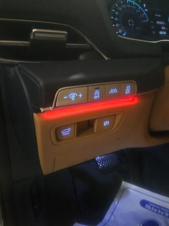 Genesis GV80 - Vista 10