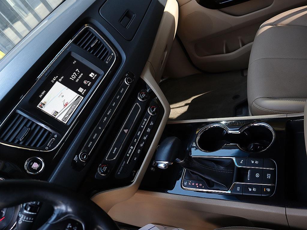 KIA Carnival - Vista 10