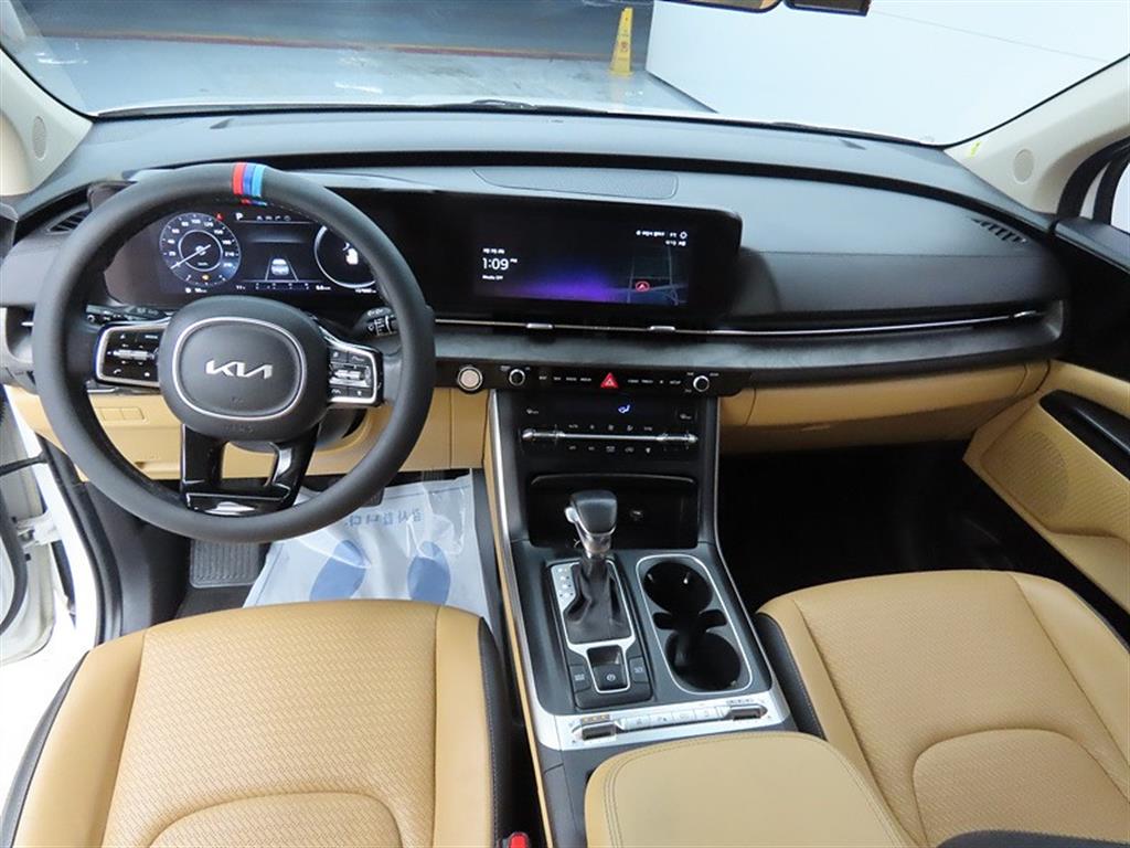 KIA Carnival - Vista 8