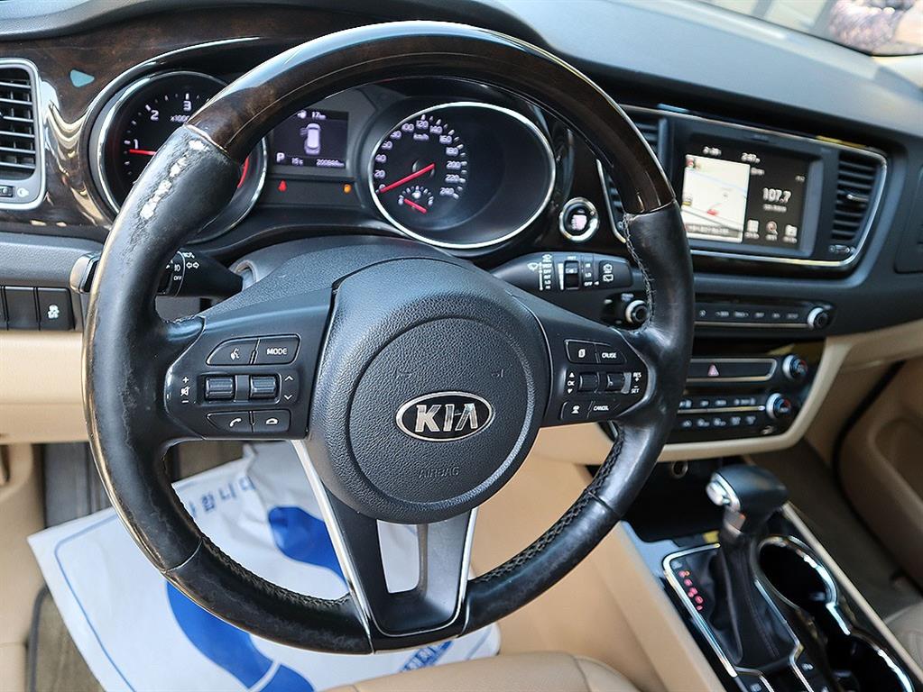 KIA Carnival - Vista 8