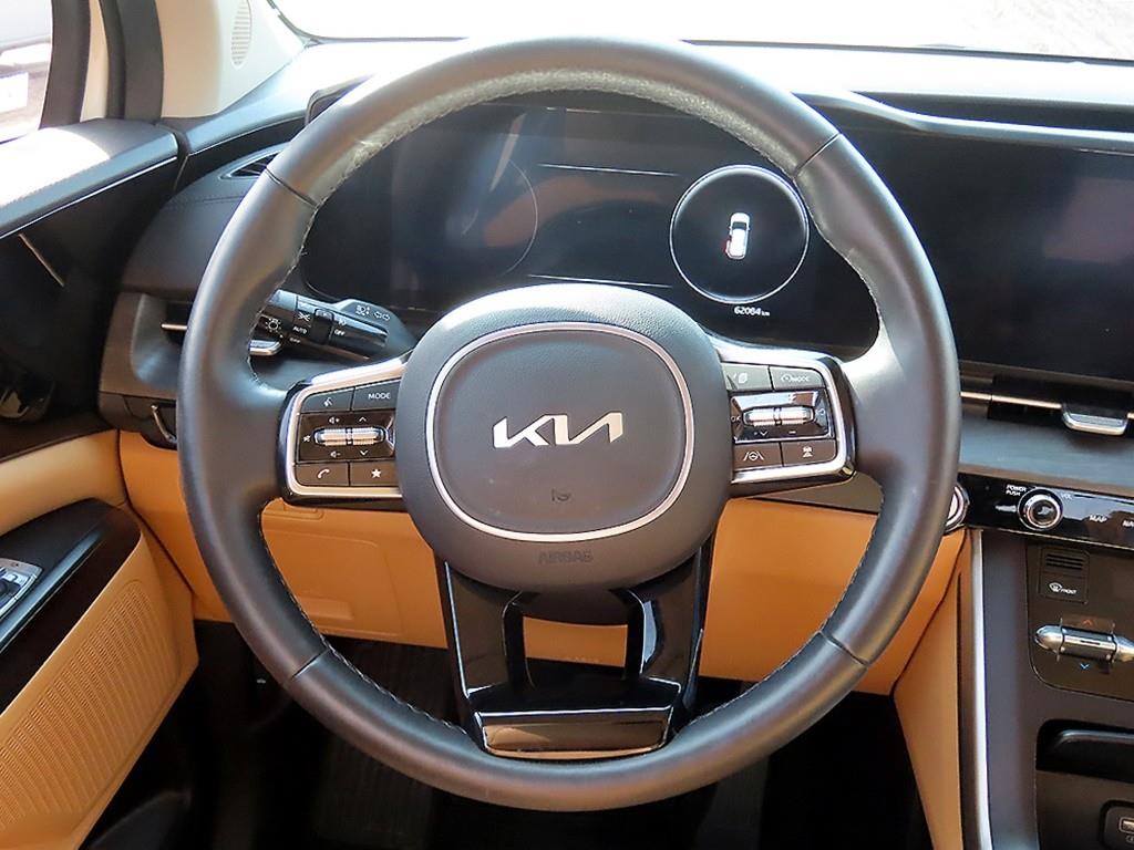 KIA Carnival - Vista 8