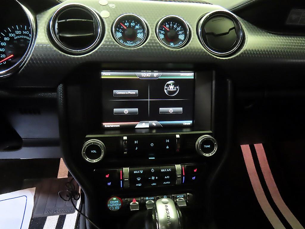 Ford Mustang - Vista 11