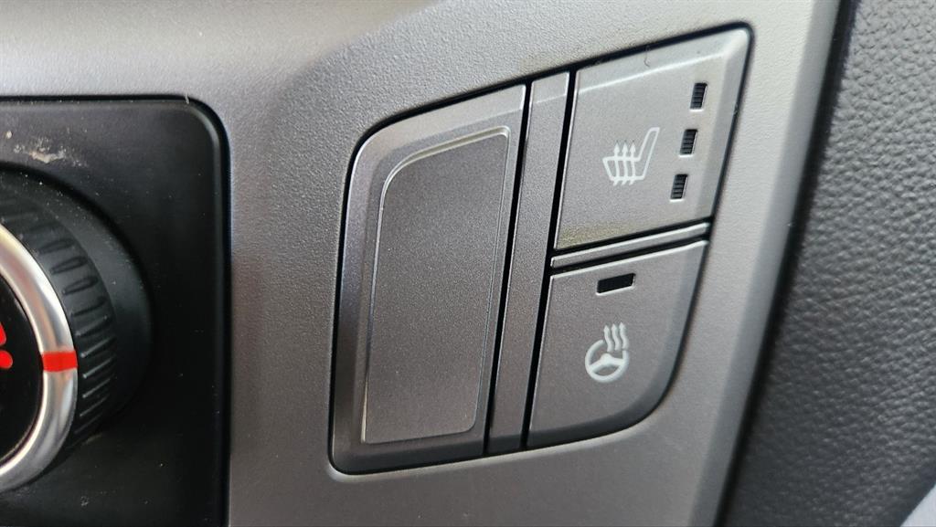 HYUNDAI Starex - Vista 12