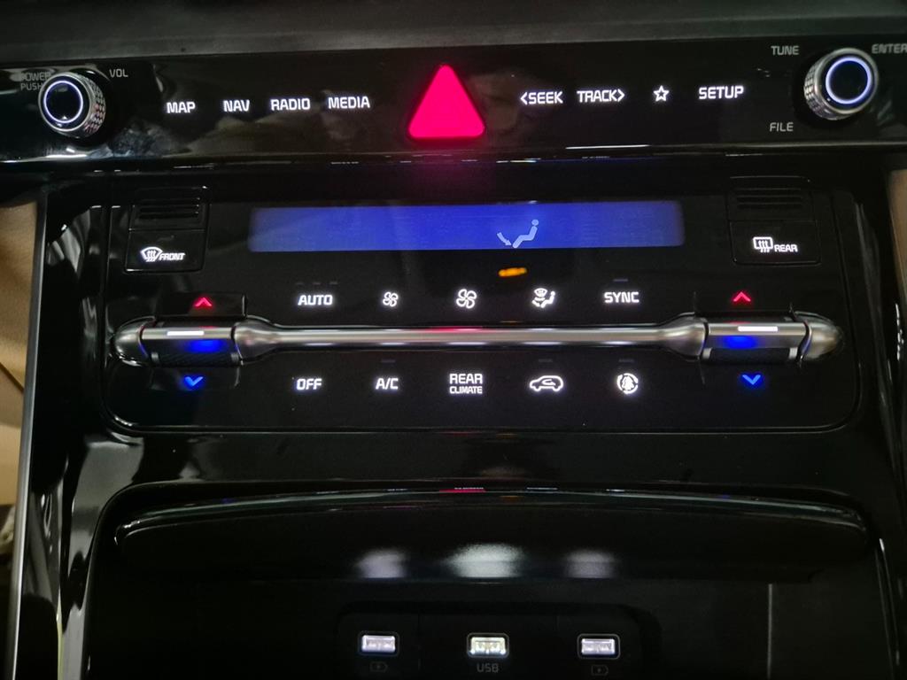 KIA Carnival - Vista 9