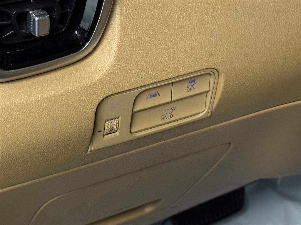 KIA Sorento - Vista 9