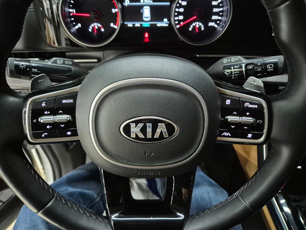 KIA Carnival - Vista 12