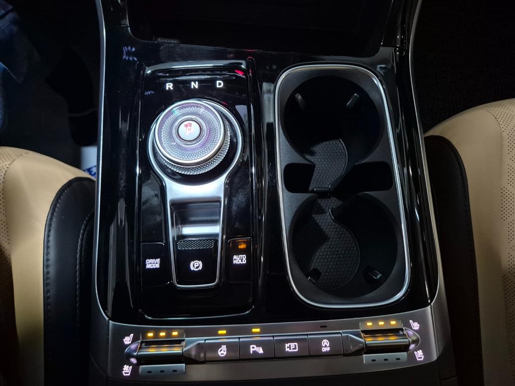 KIA Carnival - Vista 8