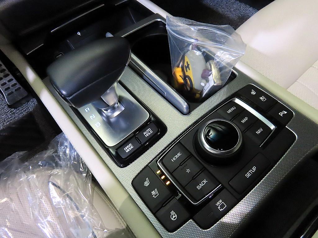 Genesis G80 - Vista 12