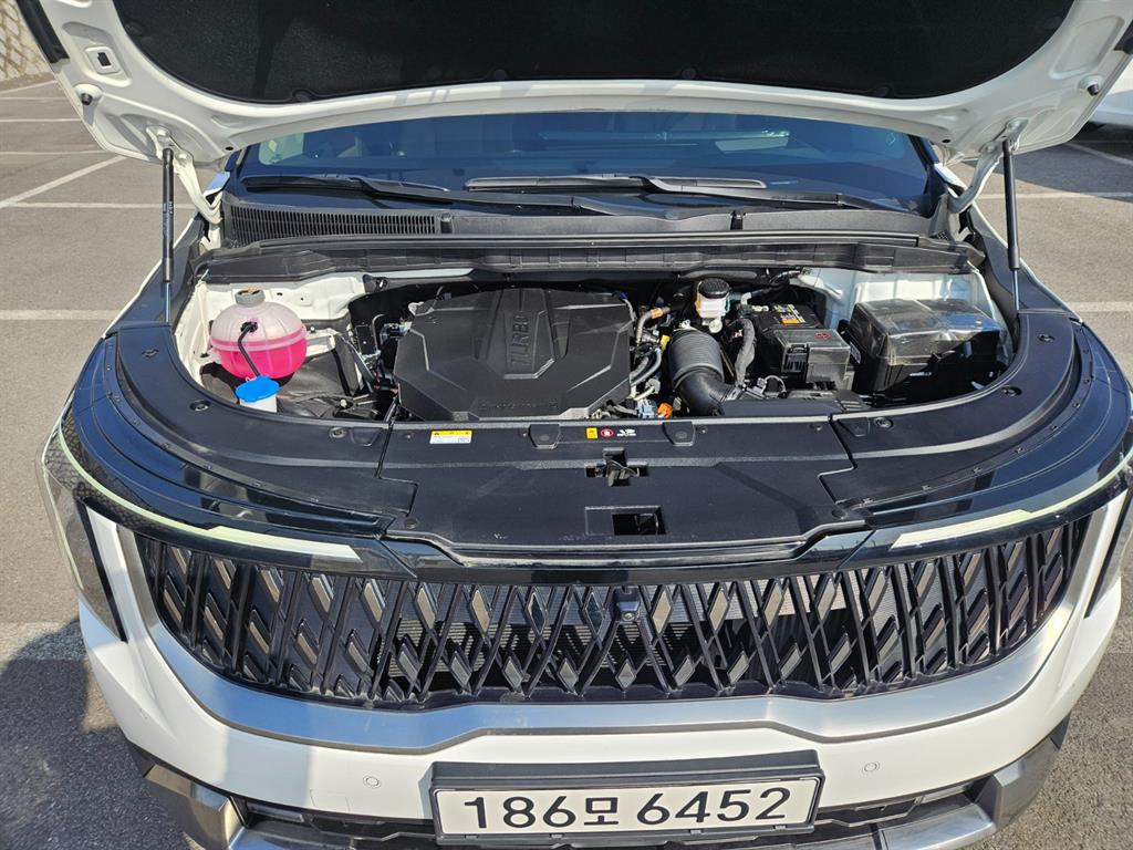 KIA Carnival - Vista 5