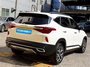 KIA Seltos - Vista 6