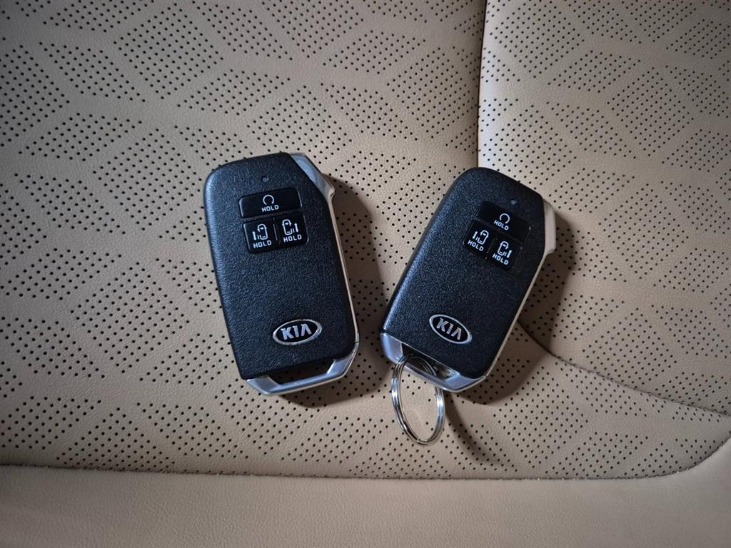 KIA Carnival - Vista 5