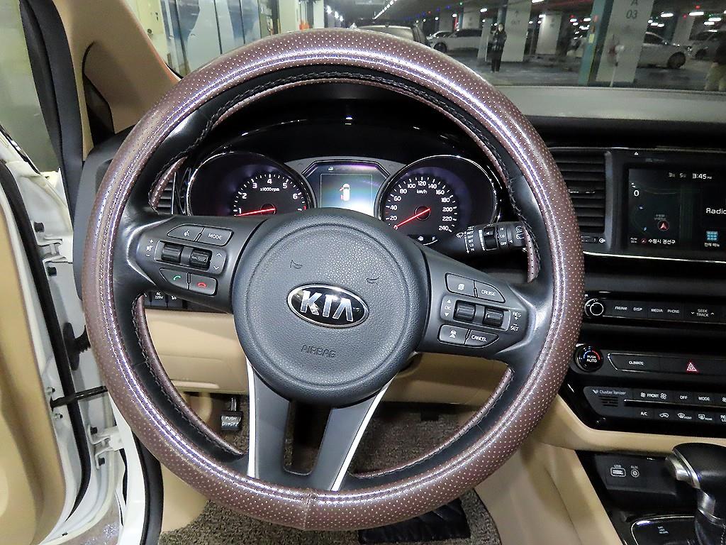 KIA Carnival - Vista 8