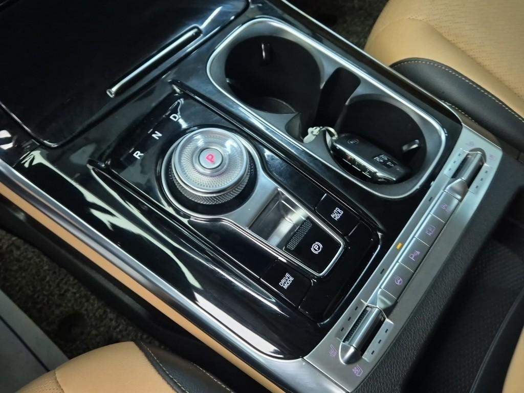 KIA Carnival - Vista 8