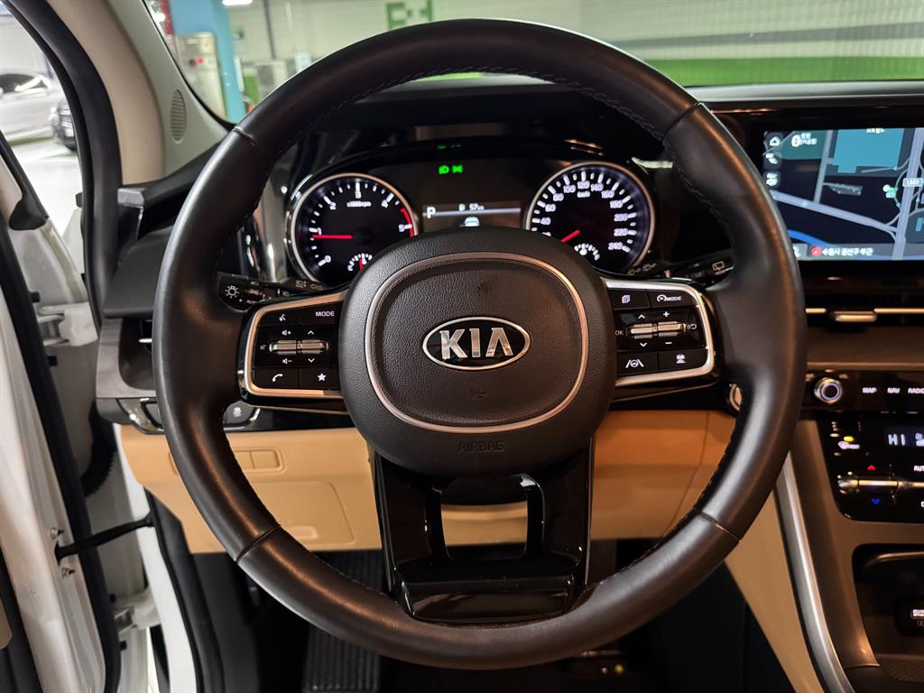 KIA Carnival - Vista 9