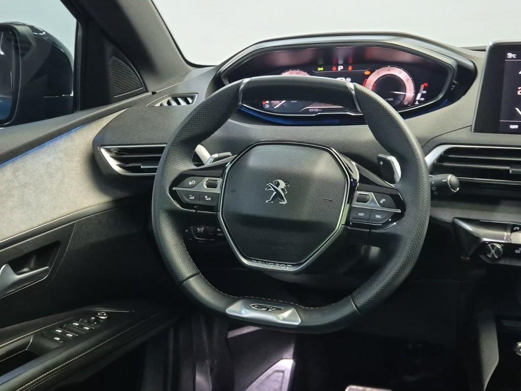 Peugeot 3008 - Vista 9