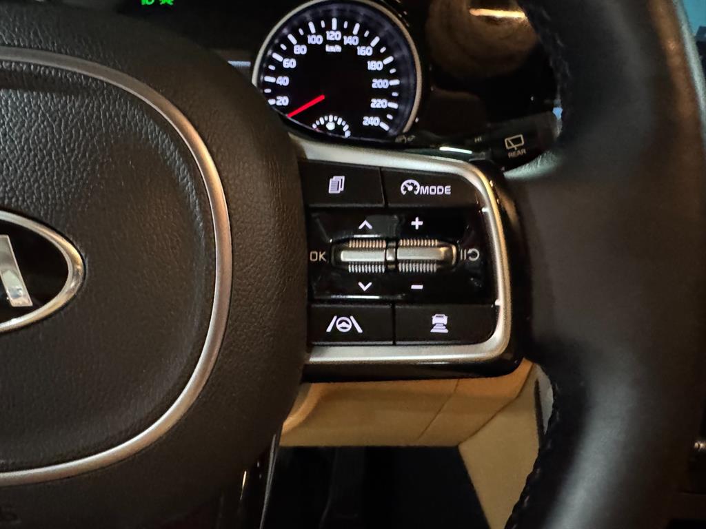 KIA Carnival - Vista 10