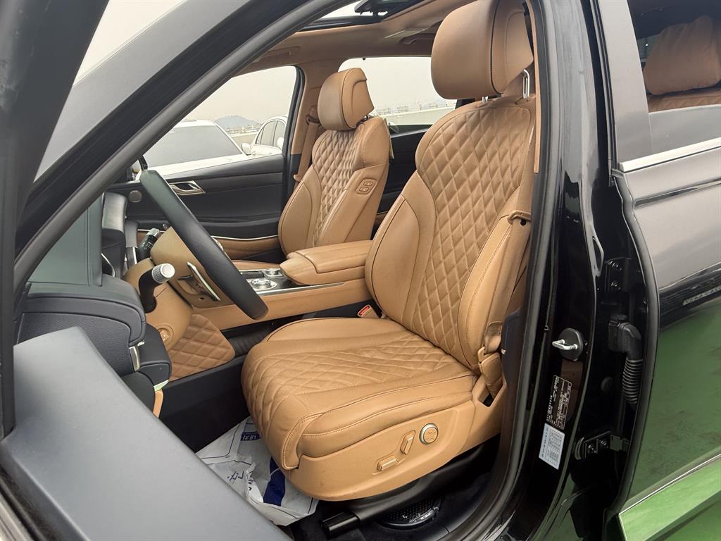 Genesis GV80 - Vista 10