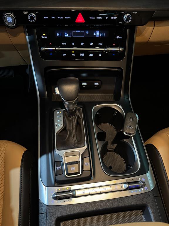 KIA Carnival - Vista 12