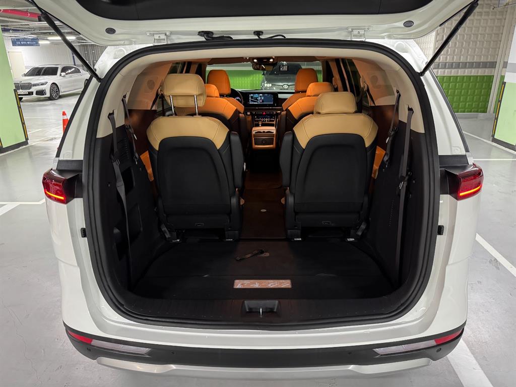 KIA Carnival - Vista 7