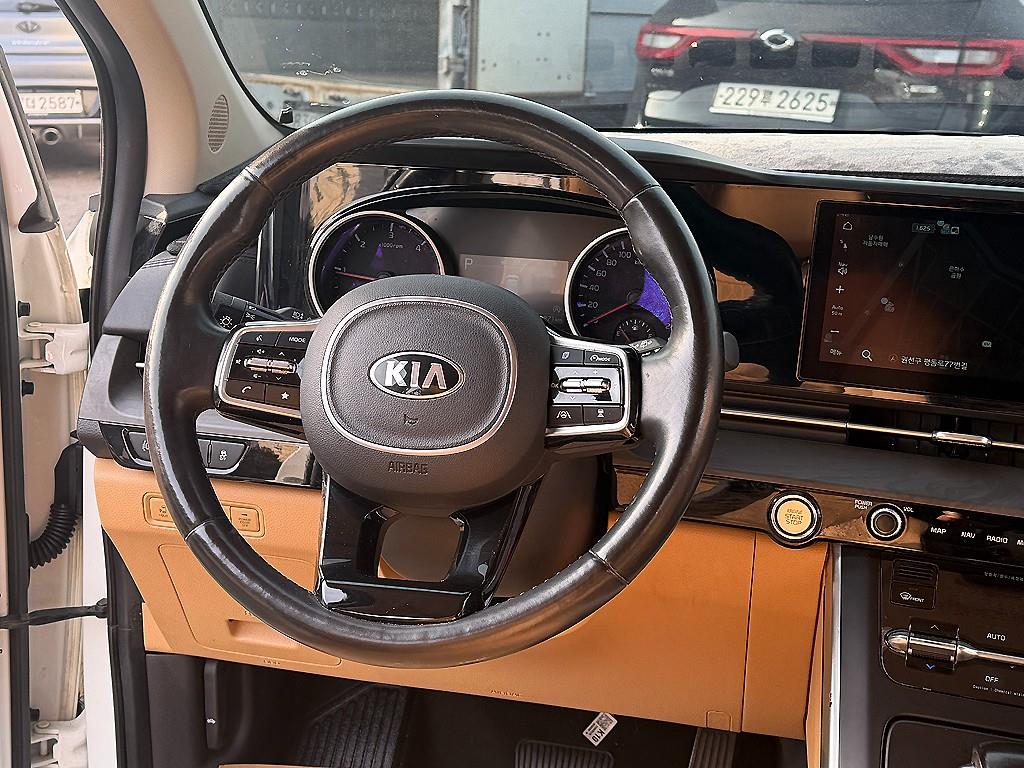 KIA Carnival - Vista 8