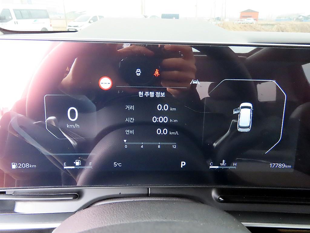 KIA Carnival - Vista 8