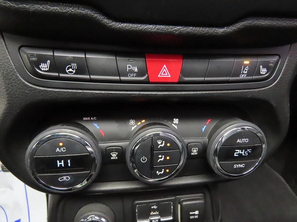 Jeep Renegade - Vista 12