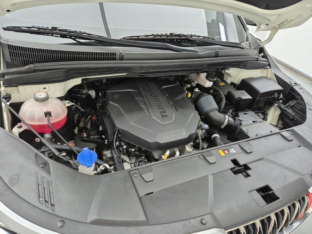 KIA Carnival - Vista 6