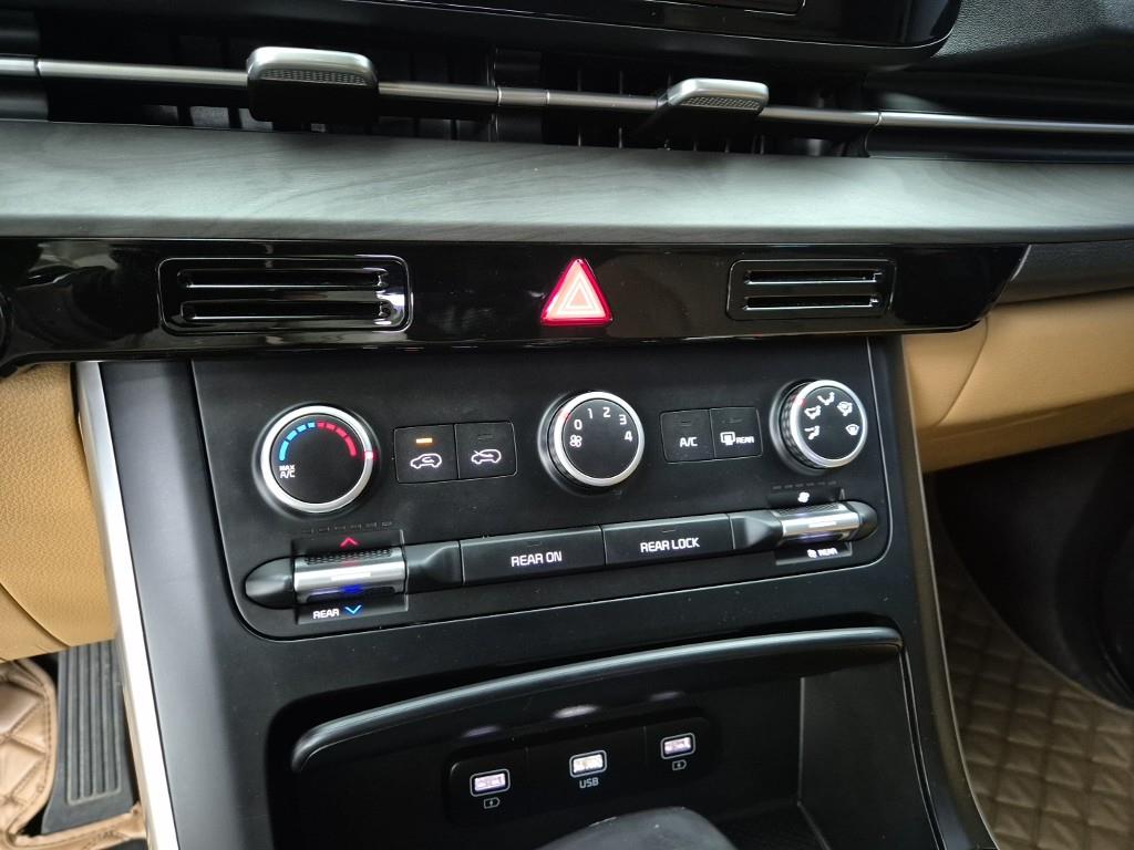 KIA Carnival - Vista 10