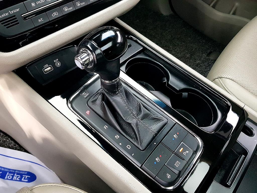 KIA Carnival - Vista 12