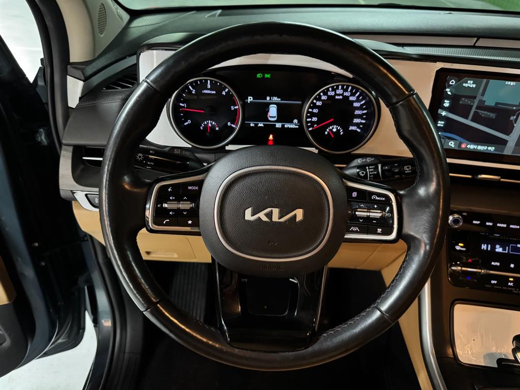 KIA Carnival - Vista 10