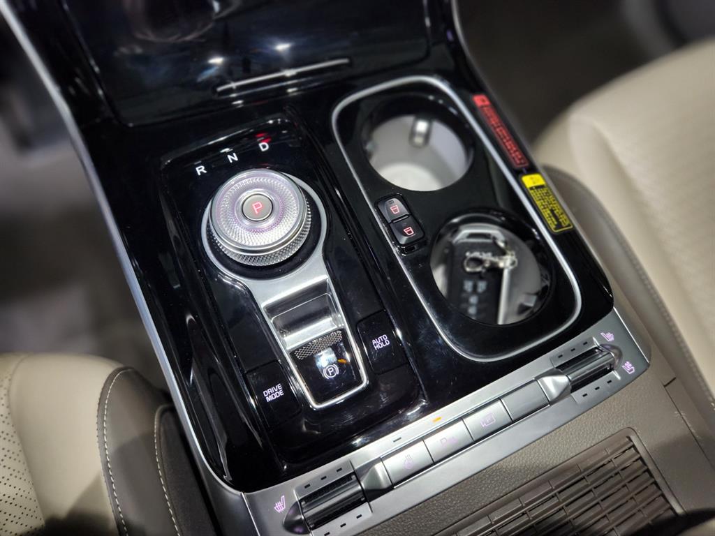 KIA Carnival - Vista 9