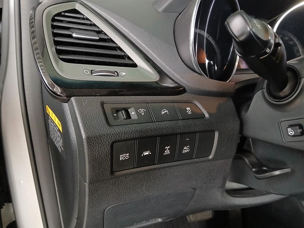 HYUNDAI Maxcruz - Vista 6