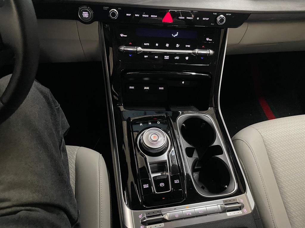 KIA Carnival - Vista 12