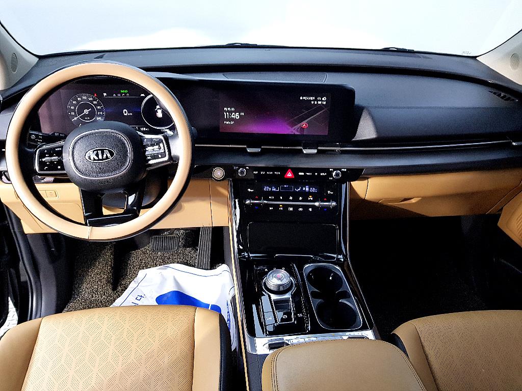 KIA Carnival - Vista 9