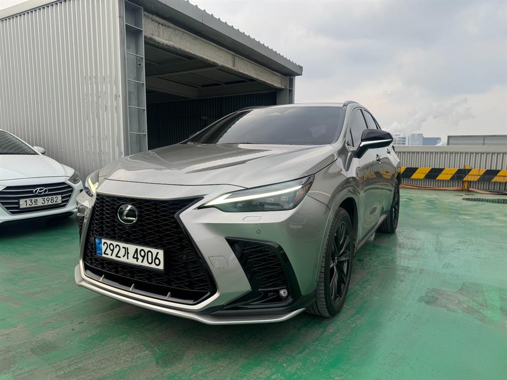 Lexus NX - Vista 4