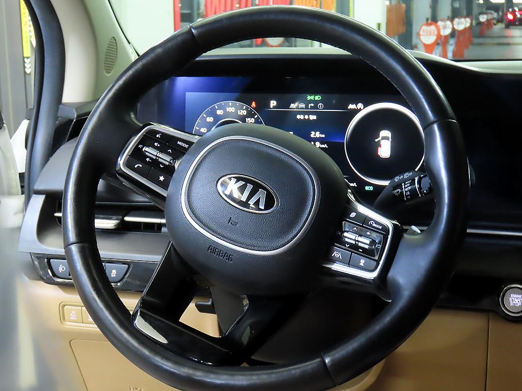 KIA Carnival - Vista 8