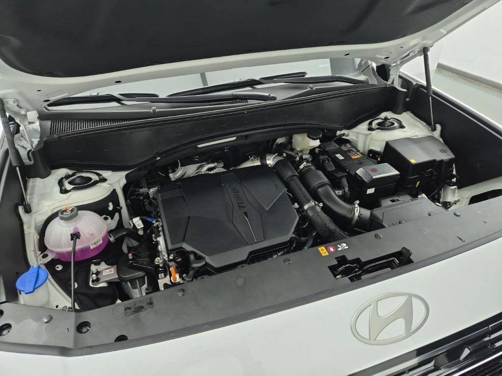 HYUNDAI Palisade - Vista 6