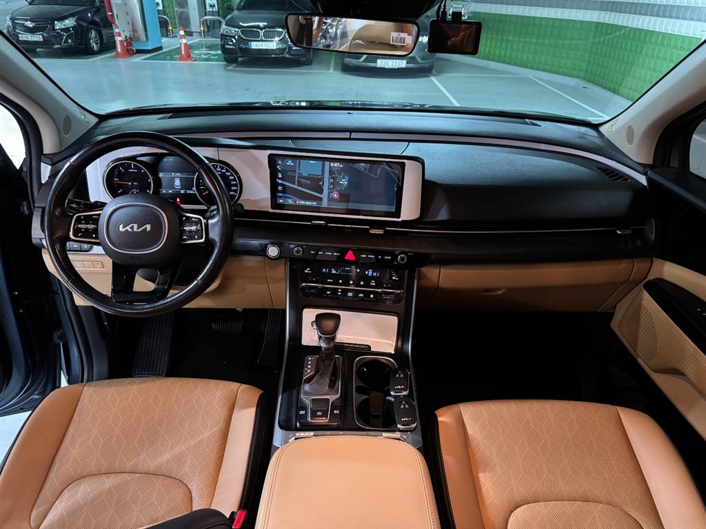 KIA Carnival - Vista 8