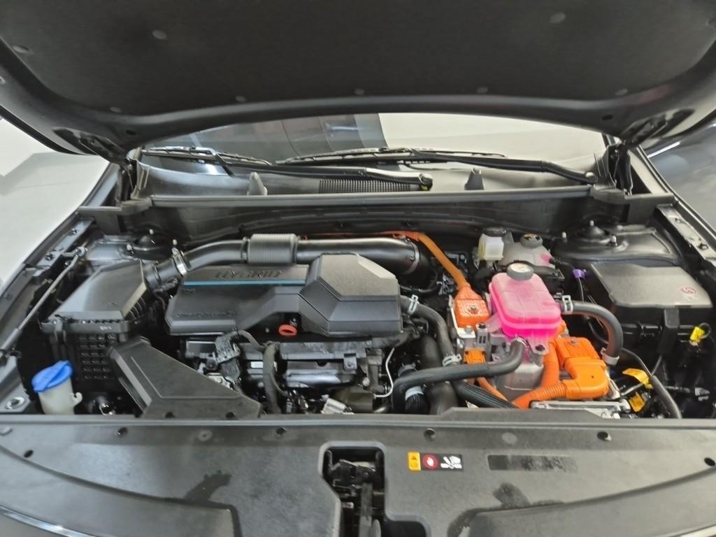 KIA Sportage - Vista 5