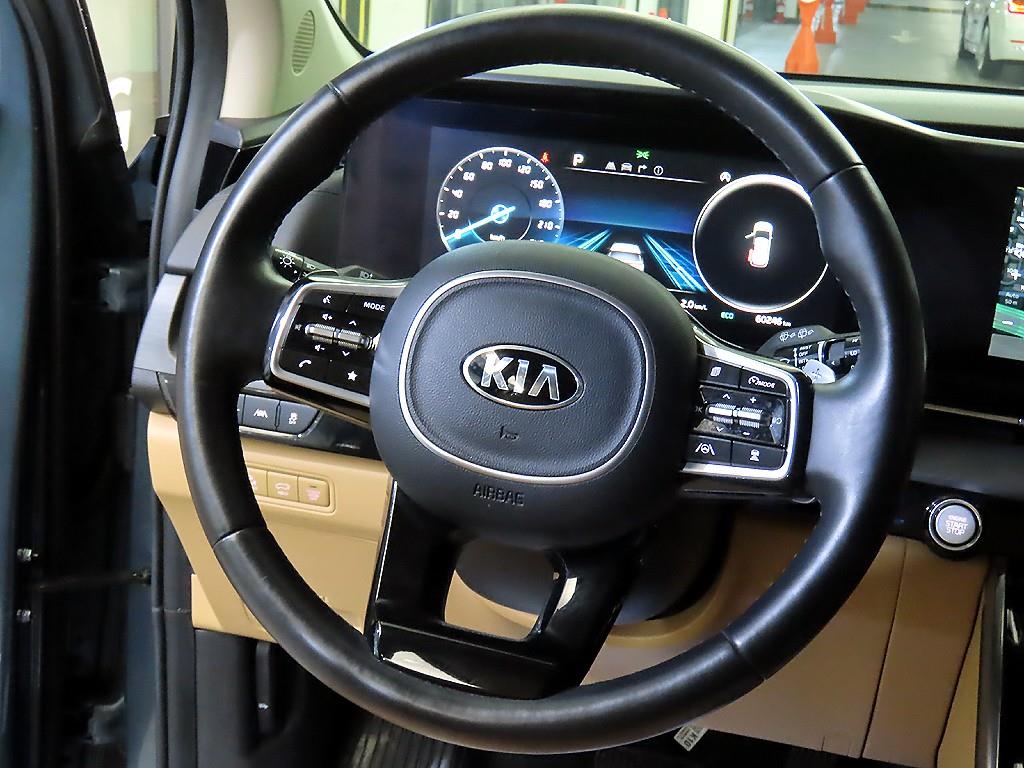 KIA Carnival - Vista 8