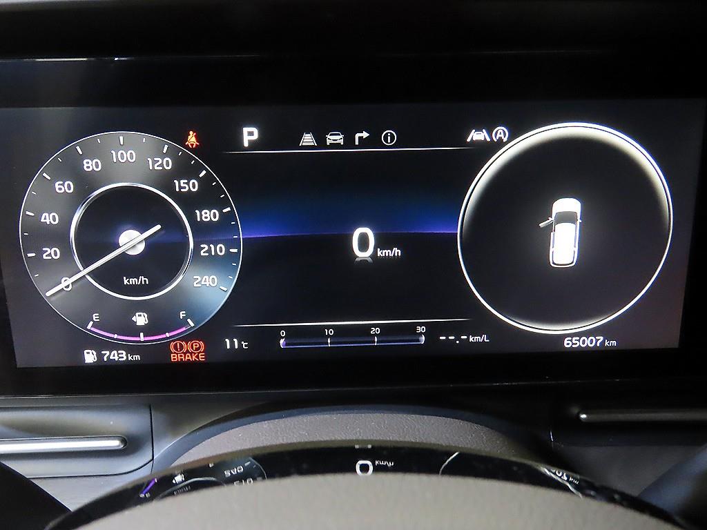 KIA Carnival - Vista 9