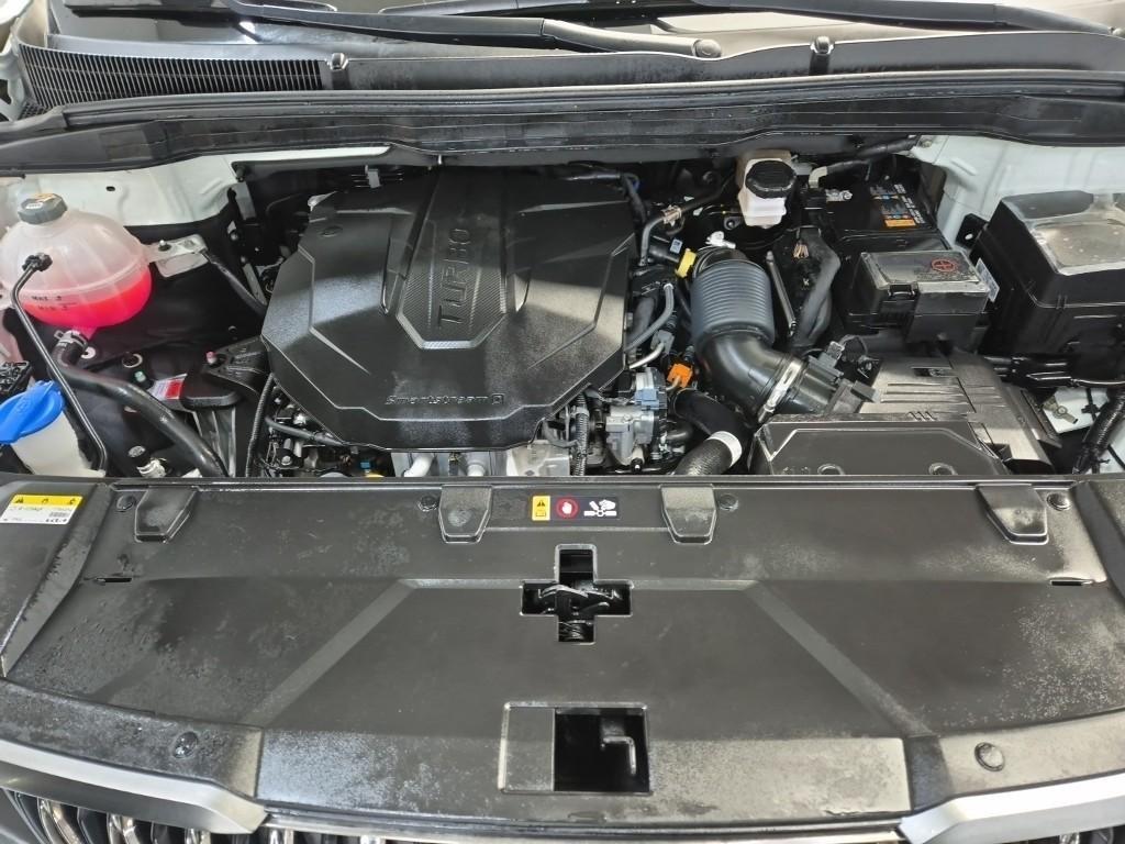 KIA Carnival - Vista 5