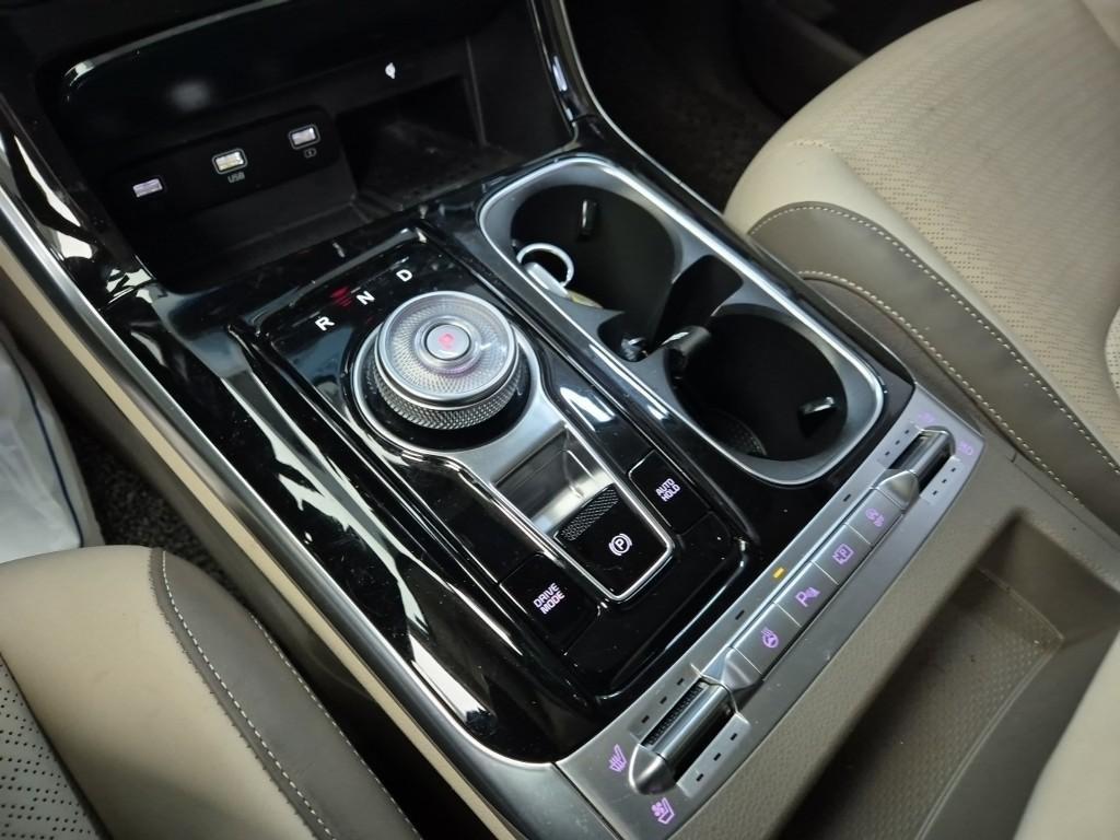 KIA Carnival - Vista 8