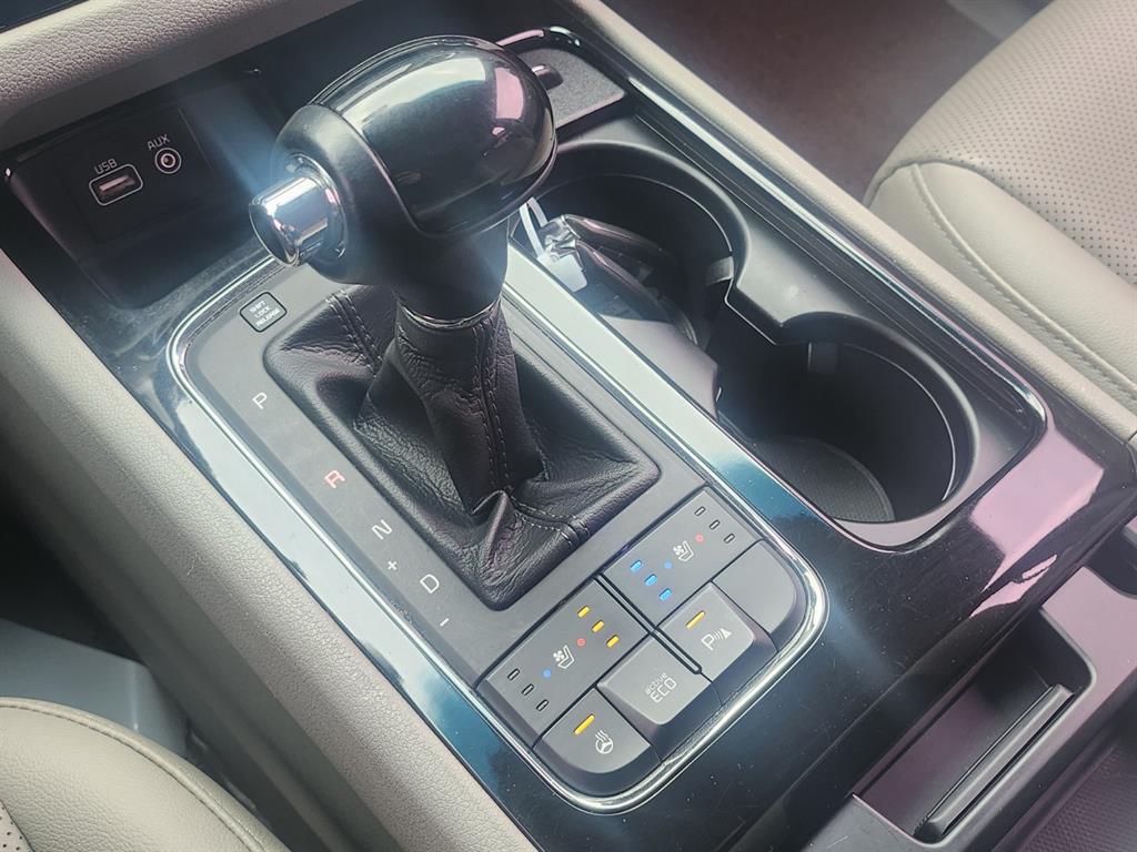 KIA Carnival - Vista 12