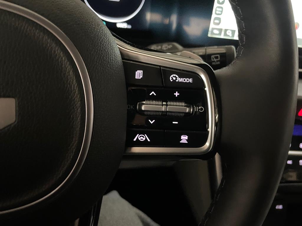 KIA Carnival - Vista 11