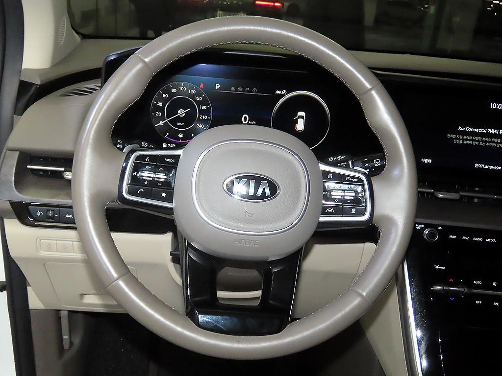 KIA Carnival - Vista 8