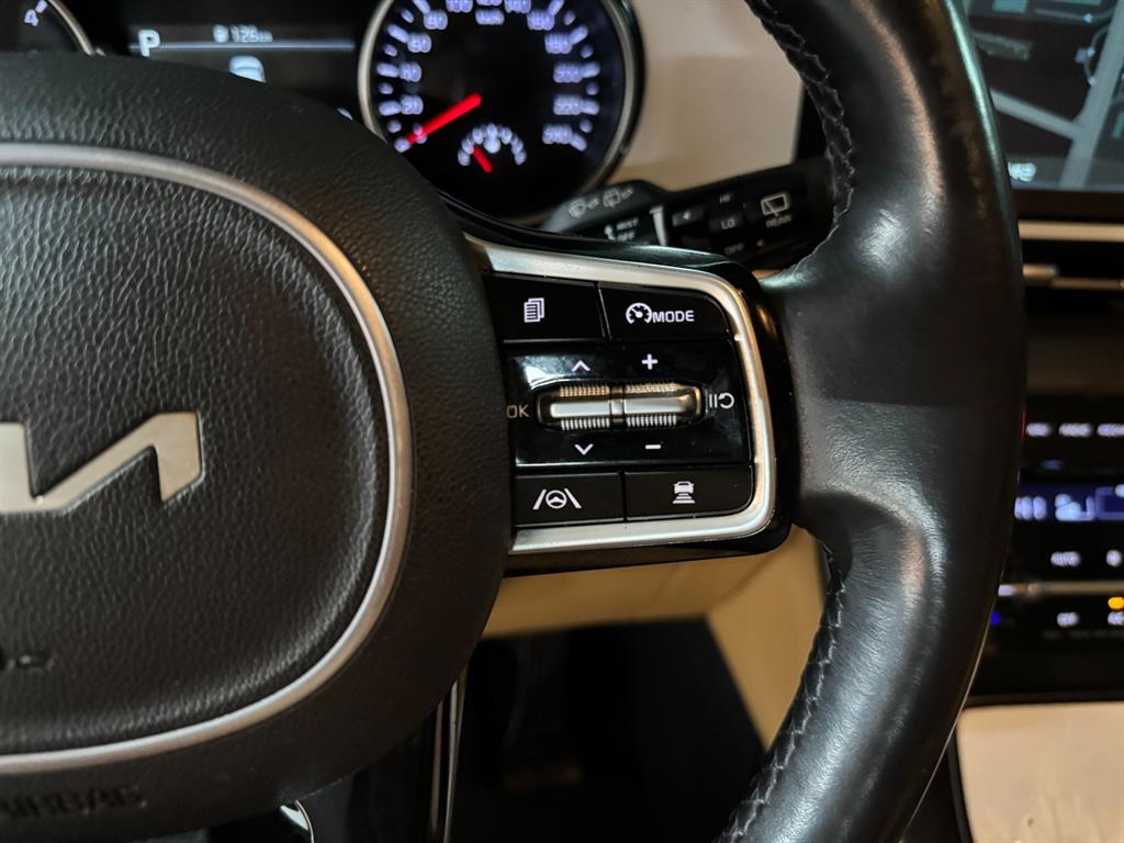 KIA Carnival - Vista 11