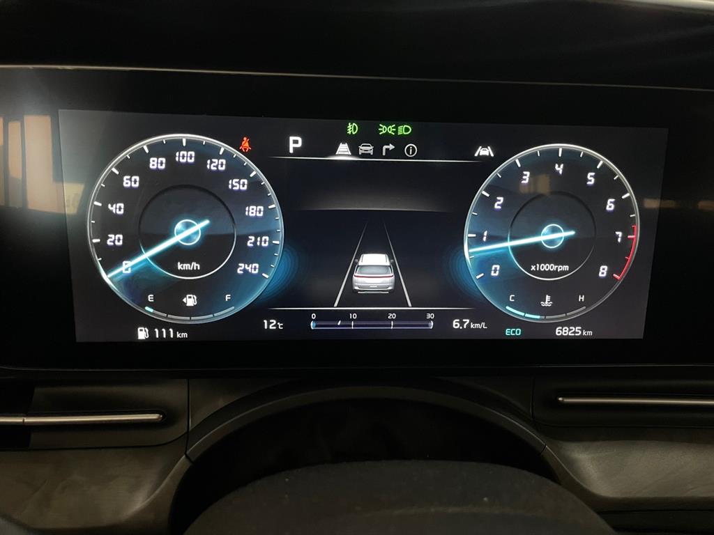 KIA Carnival - Vista 8