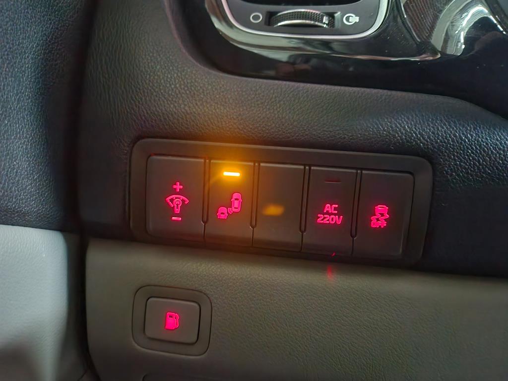 KIA Carnival - Vista 12