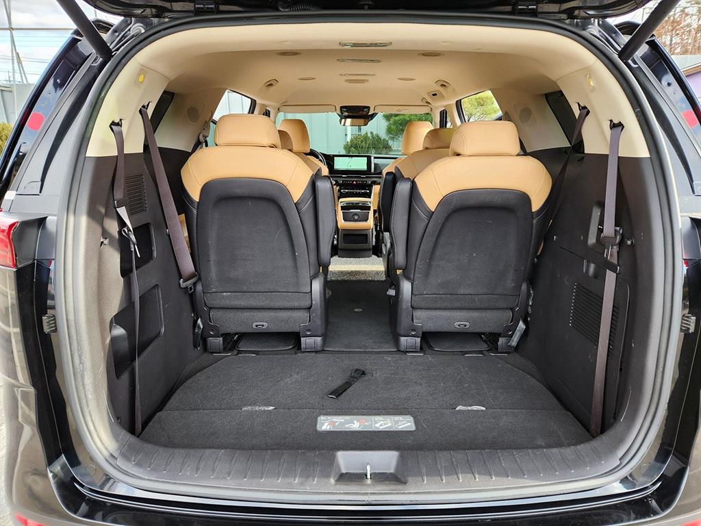 KIA Carnival - Vista 12